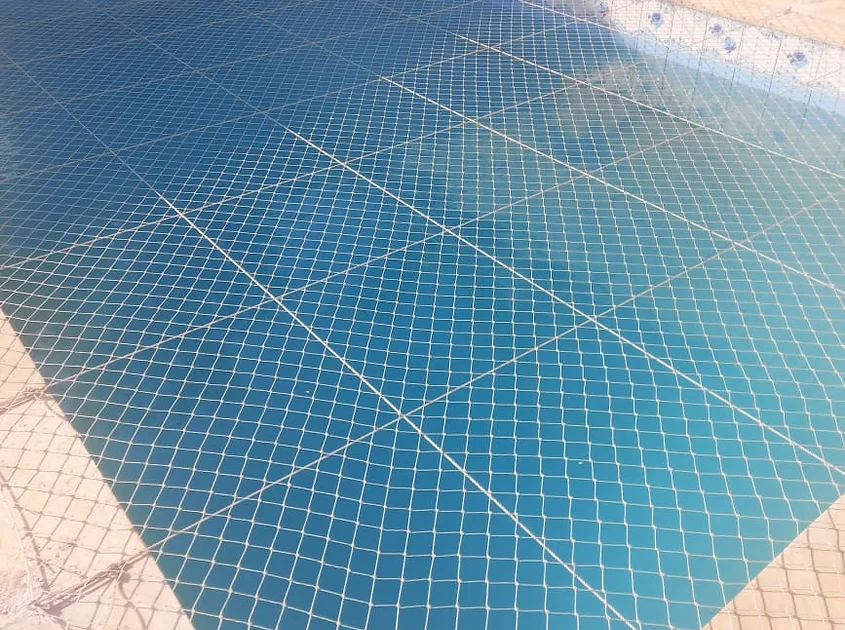 a9f3e0_ddb351c24ba1411bace3d7f4a1725533_mv2